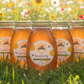 Raw Honey 16oz